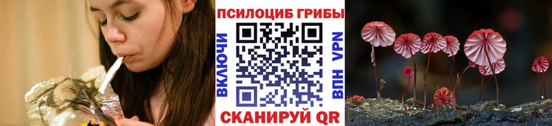 цена   Острогожск  гидра зеркало  Псилоцибиновые грибы мухоморы 