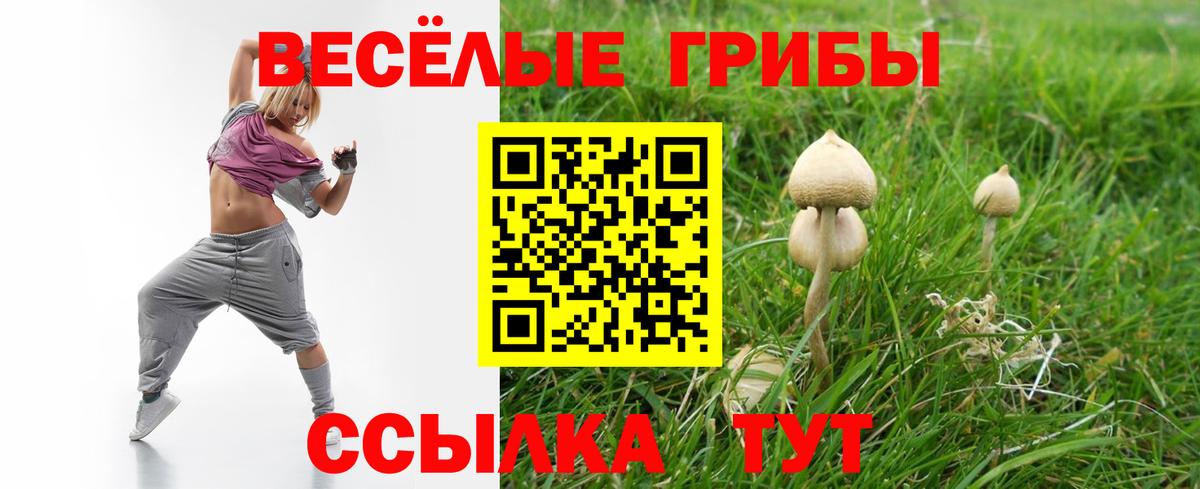 Острогожск  Галлюциногенные грибы ЛСД  Вход с VPN 