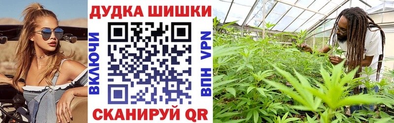 Шишки марихуана THC 21%  где найти   Острогожск 